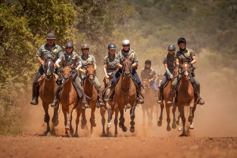 A group of horse riders riding their horses in the Waterberg landscape