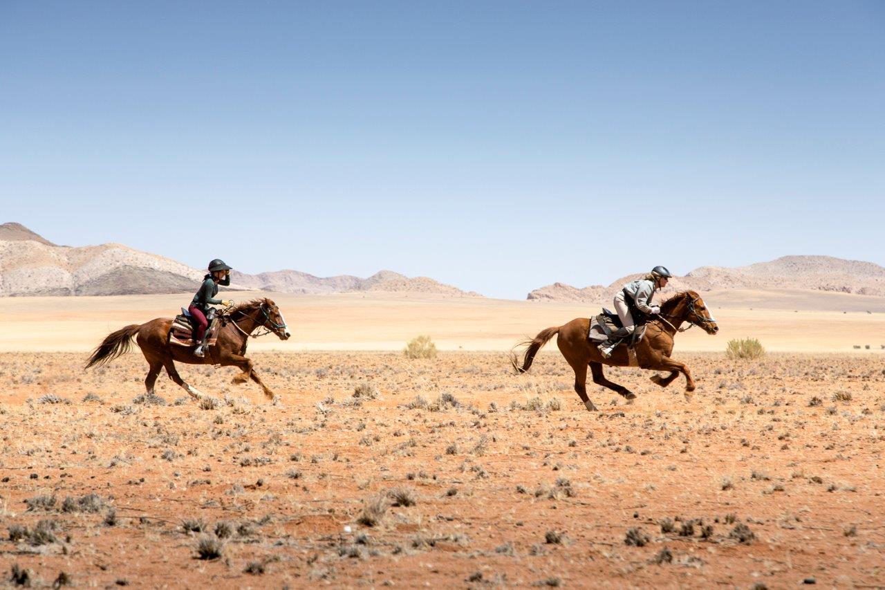 Running horses with horse riders riding on them in the middle of Namib Desert