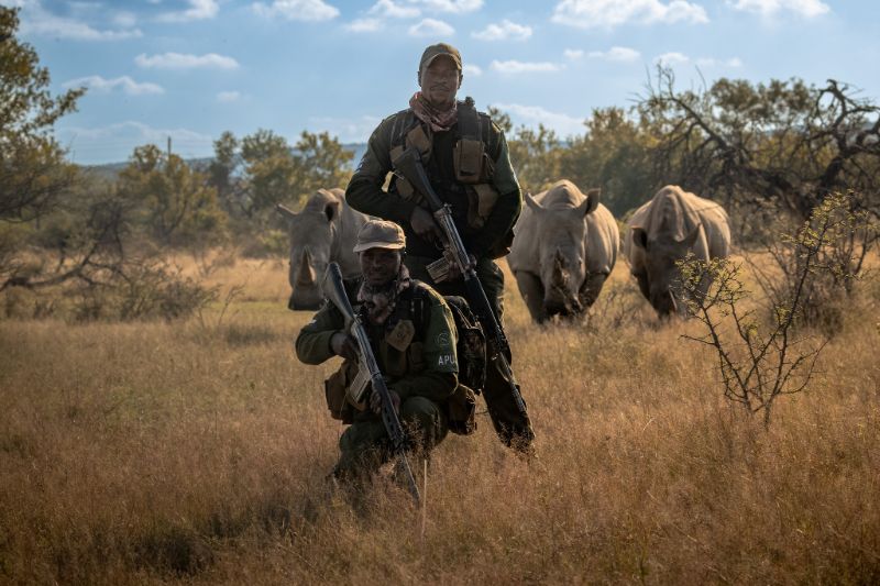 Rangers with rhinos