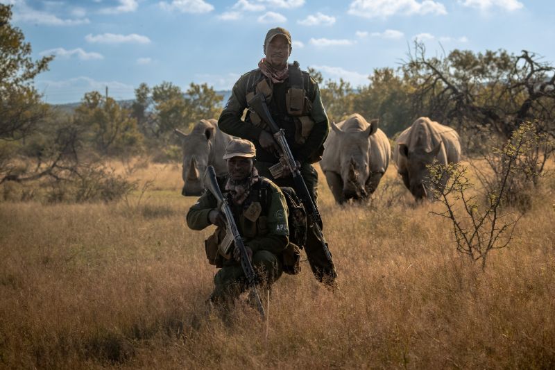 Rangers with rhinos