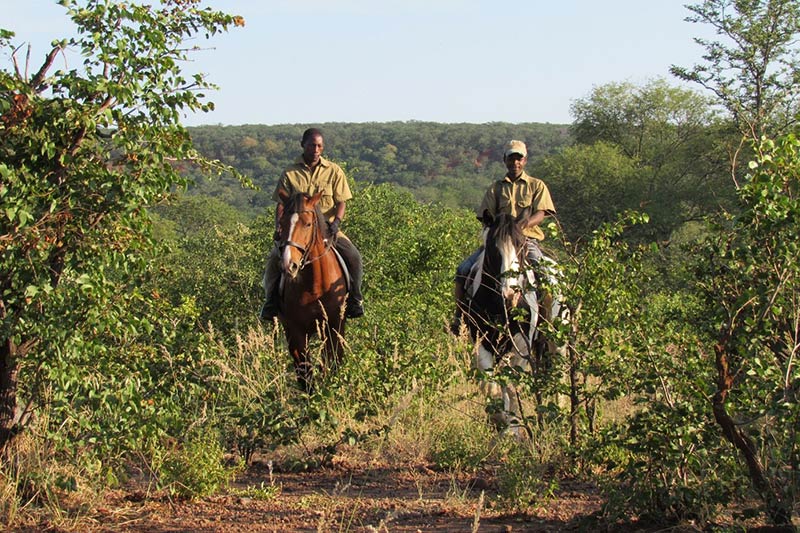 horse riding safari namibia